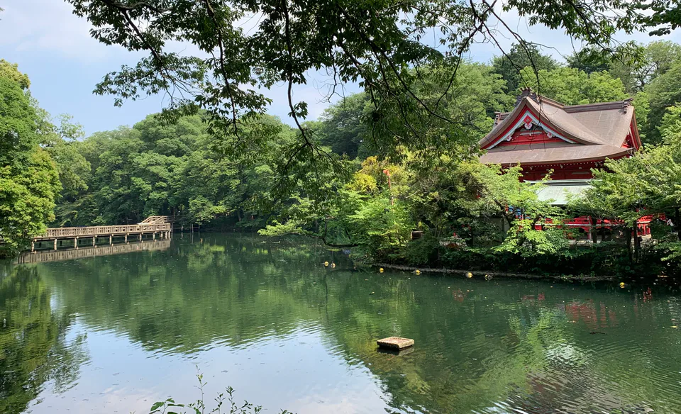 Kichijoji in Half a Day: Inokashira Park to Harmonica Yokocho