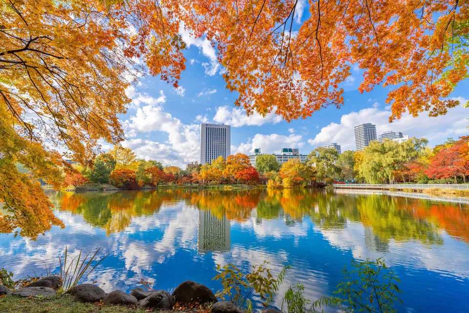 Parc Nakajima à Sapporo en image ; Les voyageurs souhaitant séjourner dans un endroit plus calme du côté sud peuvent comparer les itinéraires d'hébergement autour de Zepp, Kitara ou du parc Nakajima.