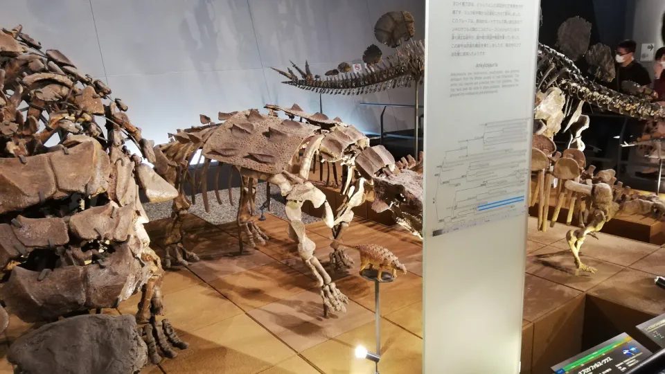 Le musée préfectoral des dinosaures de Fukui mérite un créneau principal plutôt qu’un ajout fragile après un transfert