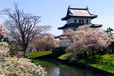 Japan’s 100 Famous Castles No.3: Matsumae Castle — The ¥360 Ticket Is Not the Expensive Part