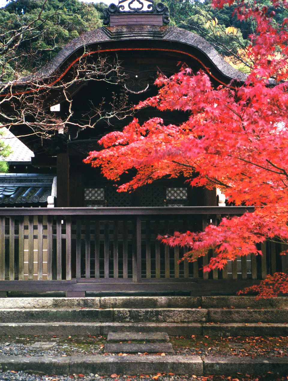 Ginkaku-ji ปลายด้านเหนือของ Philosopher’s Path ในเส้นทางใบไม้แดงเกียวโต