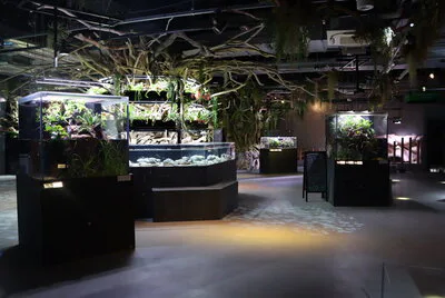 átoa Kobe คุ้มไหม? ¥2,600 ซื้อ Aquarium × Art ไม่ใช่พิพิธภัณฑ์สัตว์น้ำขนาดใหญ่