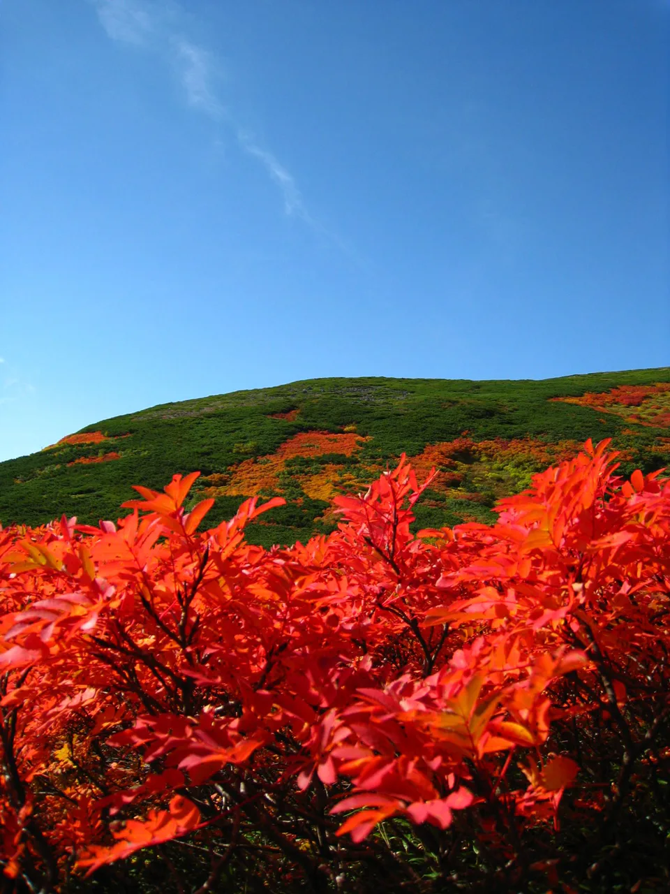 Autumn colours on the Third Snow Valley section of the Mount Akadake trail above Ginsendai