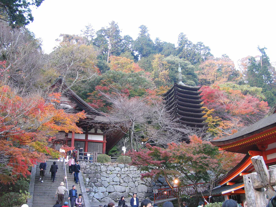Nara Autumn Leaves Day Trip: Nara Park, Tanzan Shrine or Hasedera?