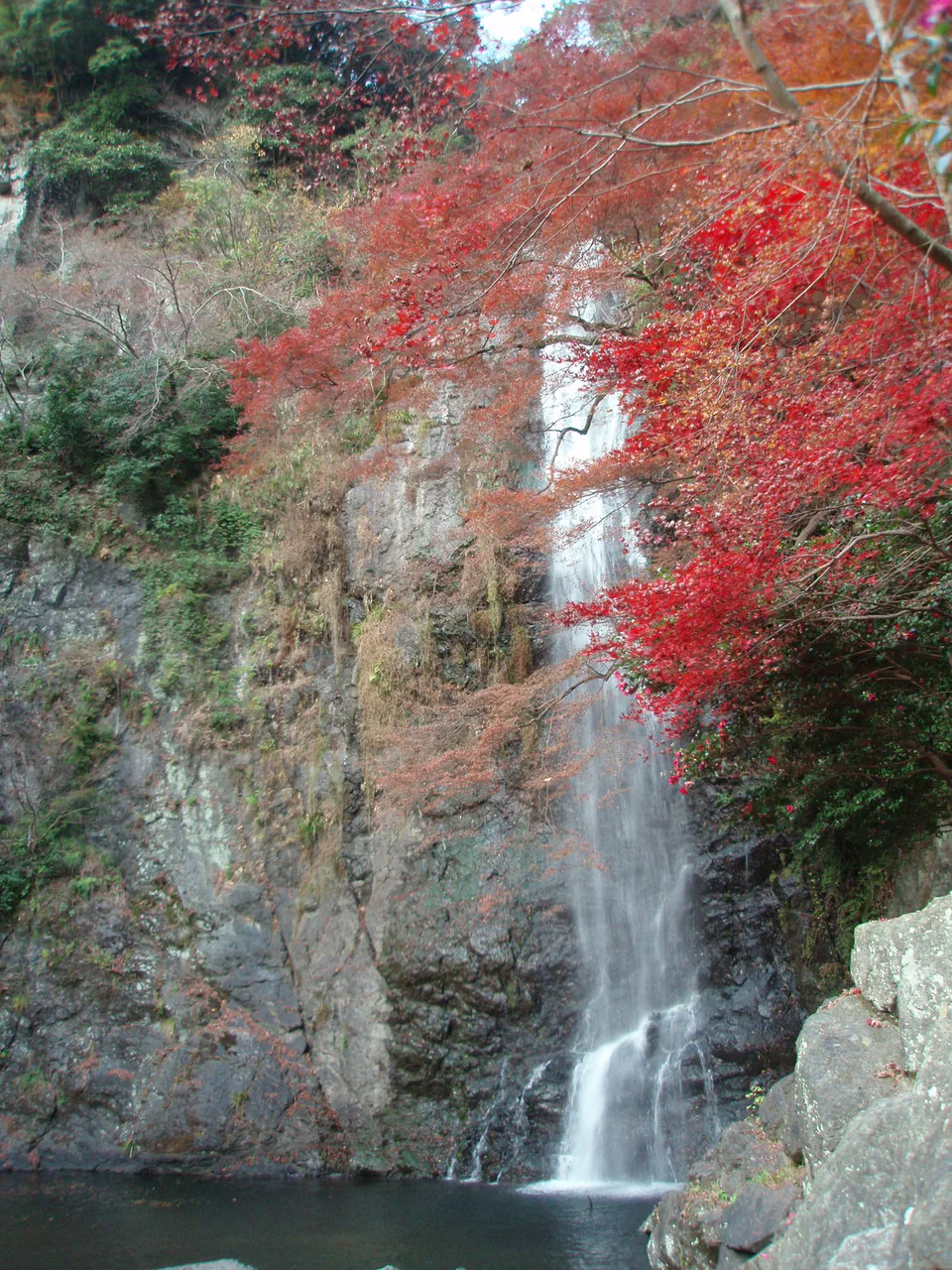 Osaka Autumn Leaves Guide: Minoh Falls, Osaka Castle and City Day Trips