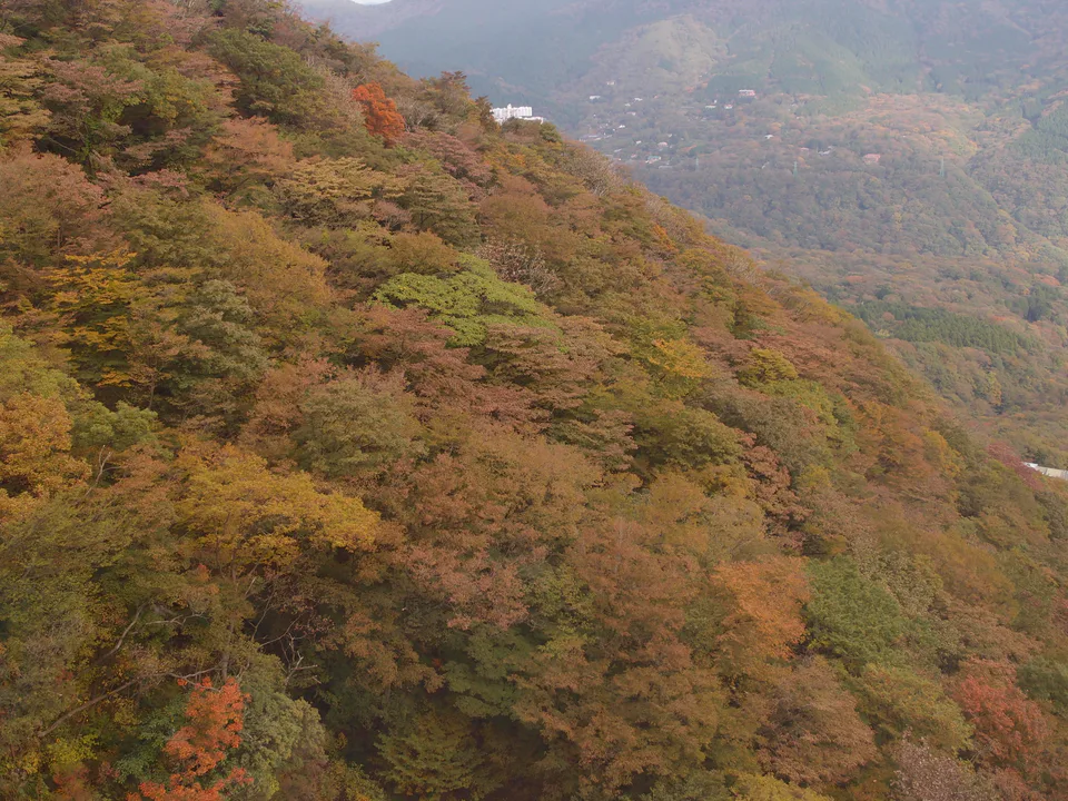 Téléphérique de Hakone Tozan entre Hakone Yumoto et Owakudani : un point crucial pour la gestion du temps de circulation lors d'une boucle d'une nuit.