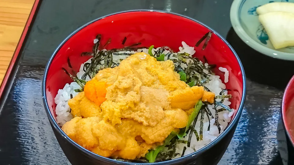 北海道積丹夏季海膽丼