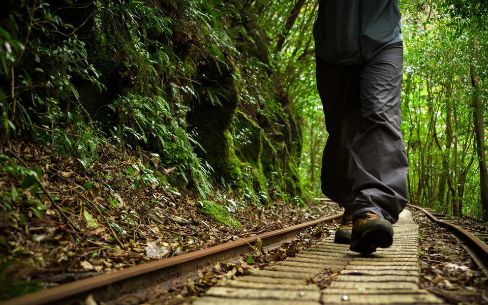 แผนเที่ยวเกาะยาคุชิมะ 5 วัน 4 คืน โดยแยกวัน Jomon Sugi วัน Shiratani Unsuikyo และวันสำรองอากาศ