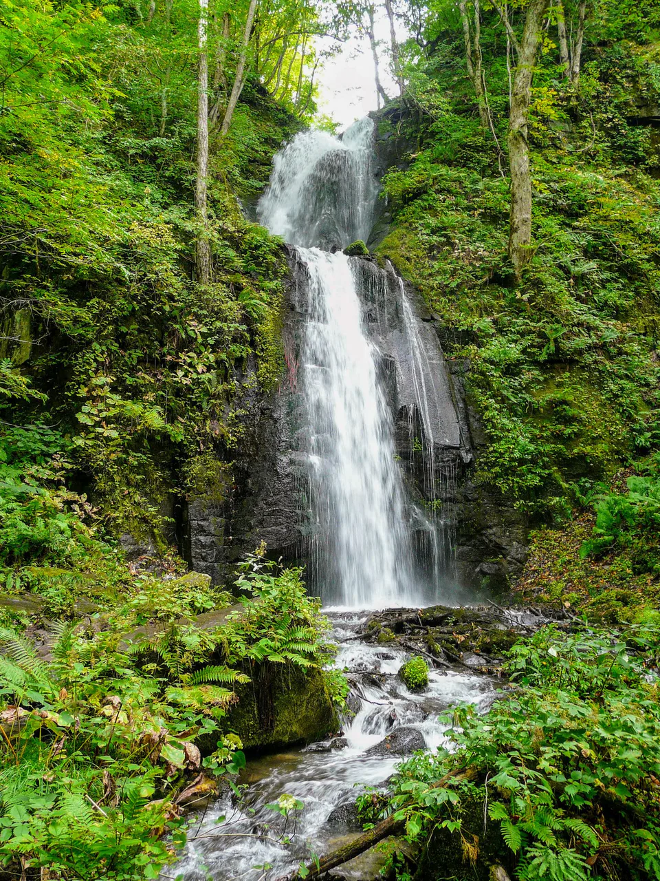 Autumn foliage beside Kumoi Falls on the Oirase Stream in Aomori, where bus, trail and road status must be checked