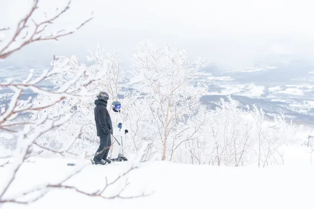 Paysage hivernal de la station de ski de Niseko ; après que le ski est devenu le principal attrait, l'hébergement doit privilégier la réduction des déplacements pour l'équipement, la navette et l'accès aux remontées mécaniques.