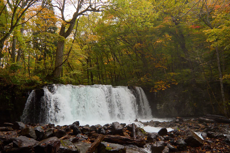 Les chutes d'automne de la rivière Oirase, idéales pour évaluer l'hébergement en montagne et l'organisation des bagages.