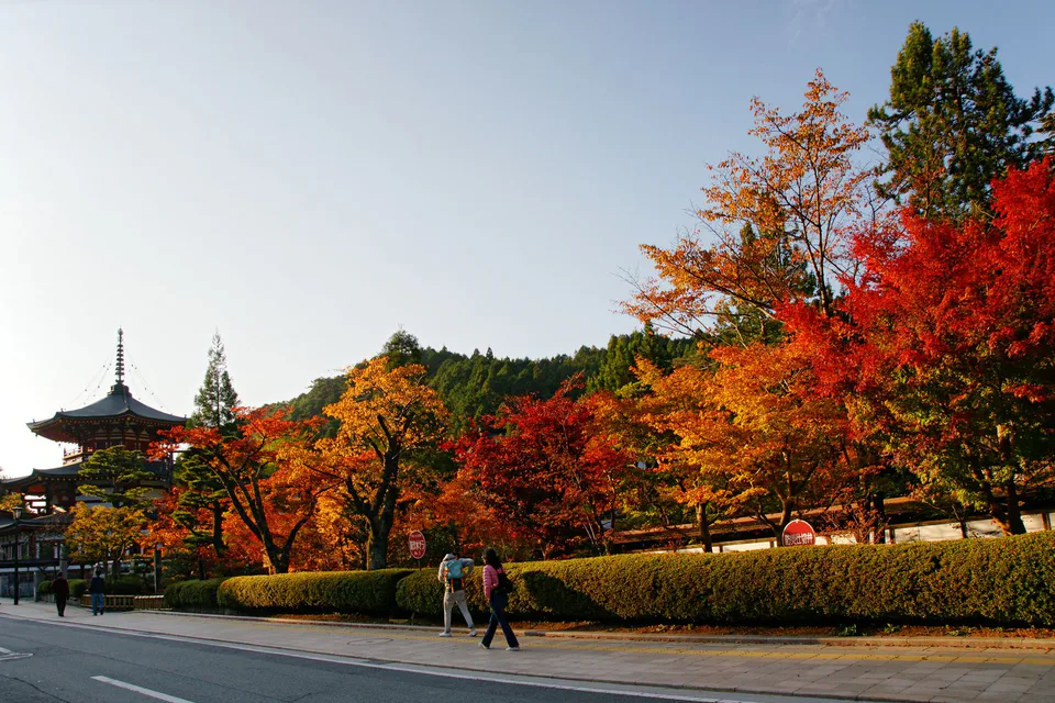 La promenade des temples du mont Koya et ses érables en automne sont idéales pour admirer la couleur des feuilles dans la région du Kansai début novembre.