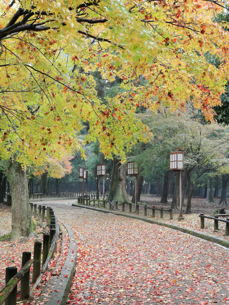 Where to Stay in Kiso Valley: Tsumago, Kiso-Fukushima or Narai