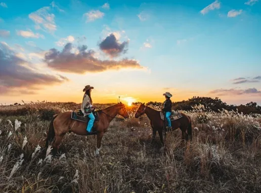 Horse trekking across the broad grasslands of Aso with mountain views