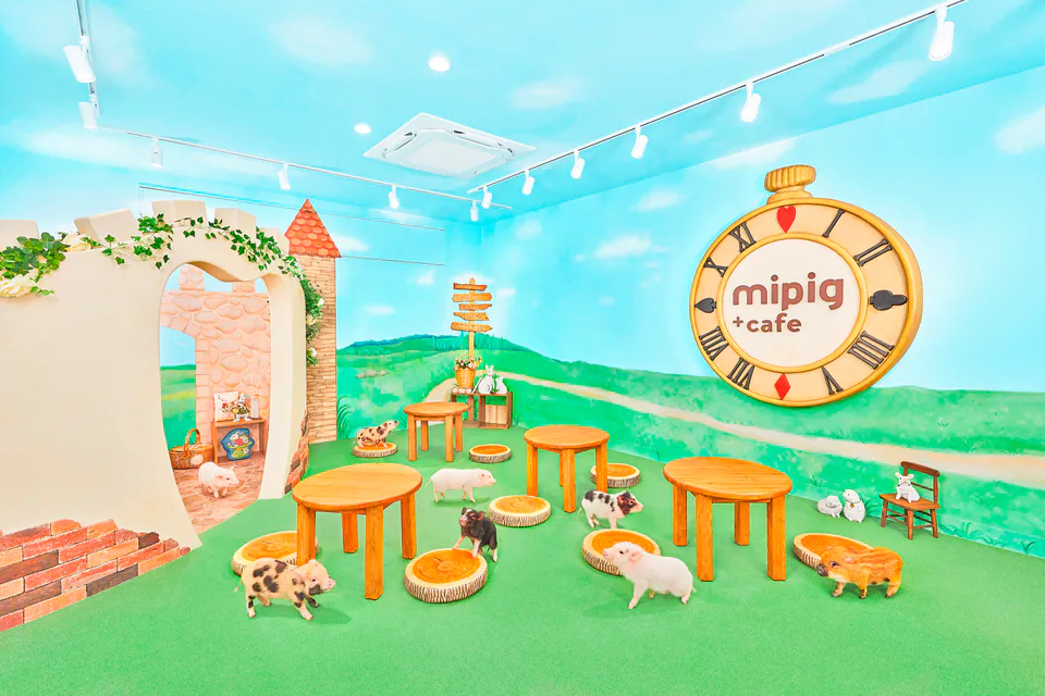 Mipig Cafe Fukuoka Tenjin : 25 ou 55 minutes, et quand faut-il éviter de réserver ?