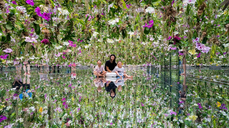 Floating Flower Garden at teamLab Planets Tokyo