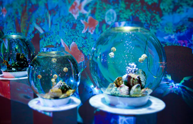 Musée des poissons rouges de Nara JAPONE, espace d'exposition des parapluies et poissons rouges