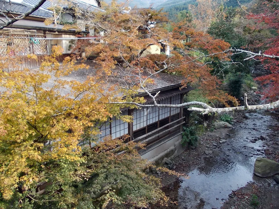 Autumn colour along the river and old streets in Akizuki Fukuoka