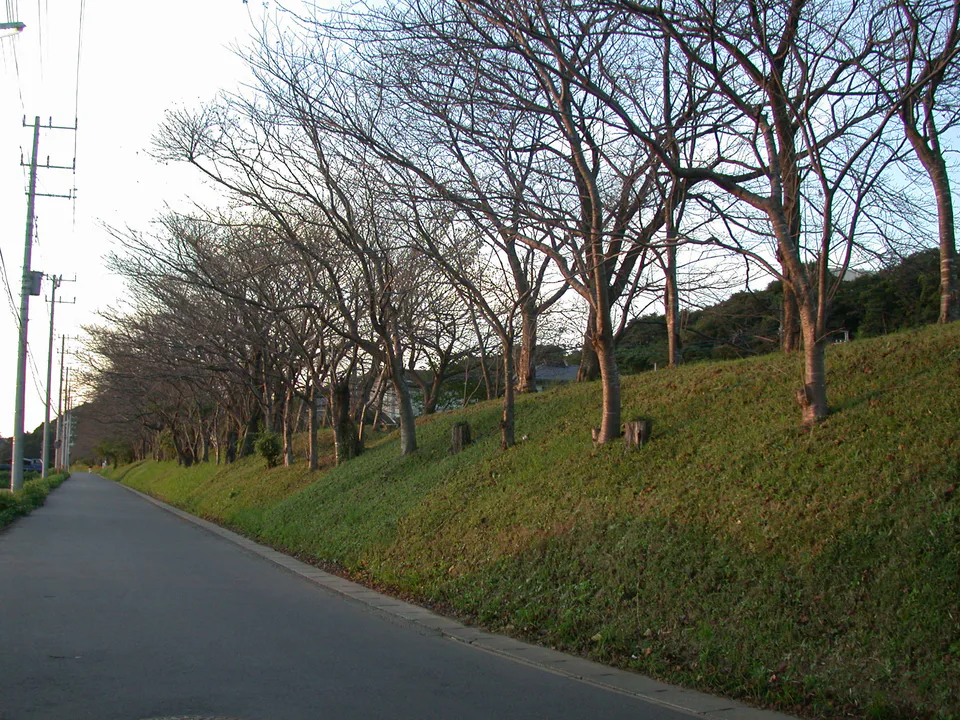 Sakura Castle earthen ramparts and terrain south of the main enclosure