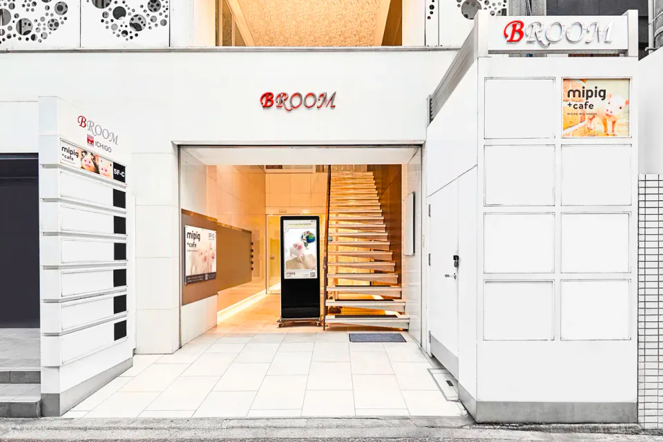 Espace intérieur interactif pour cochons miniatures au mipig cafe de Tenjin, Fukuoka, où les cochons se déplacent librement plutôt que d'être portés par les visiteurs.
