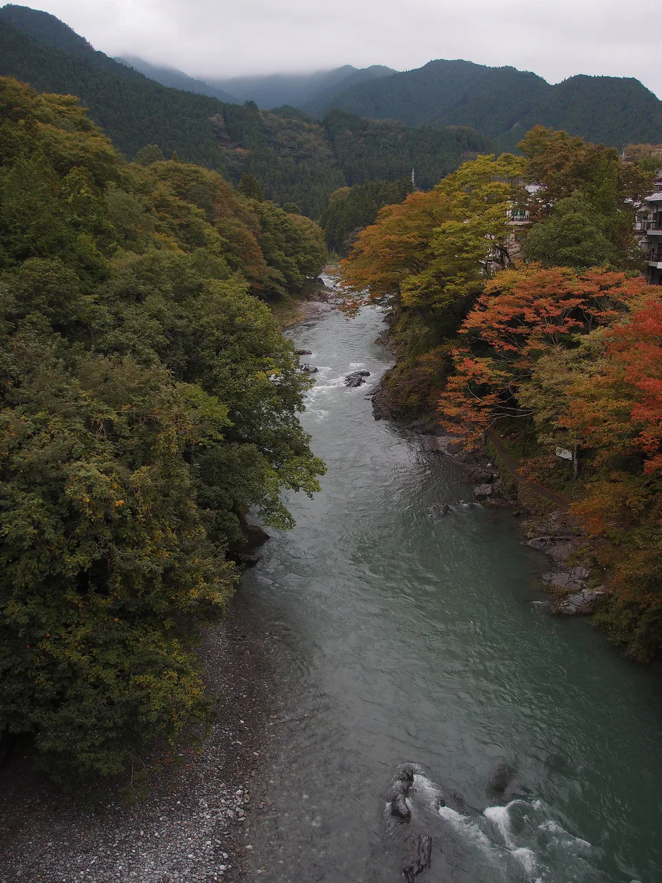 ใบไม้เปลี่ยนสีโอคุทามะ|ไม่เช่ารถควรเลือก Mitake Gorge, Okutama Station, Lake Okutama หรือ Nippara?