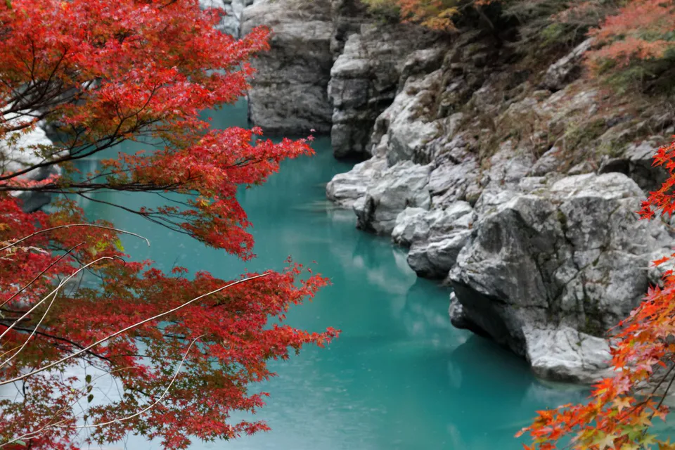 Couleurs d’automne et routes étroites de haute montagne à Iya, illustrant les risques de conduite dans Iya central et Oku-Iya