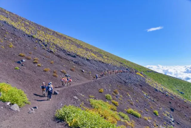 Mount Fuji scenery for comparing an organized Fuji day tour with independent travel