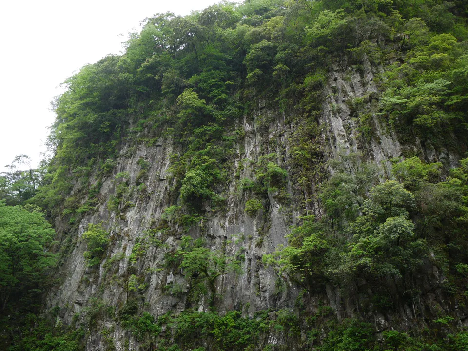 Sennin-no-Byobu basalt cliffs in Takachiho Gorge with autumn vegetation above the canyon