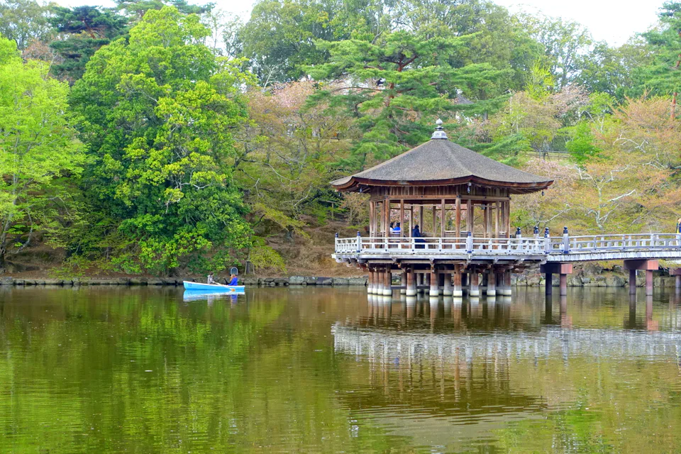 Ukimido pavilion in Nara Park during a quieter early-morning visit