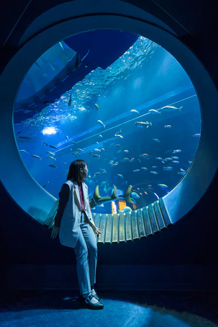 DMM Kariyushi 水族館大型圓形觀景窗與藍色大水槽