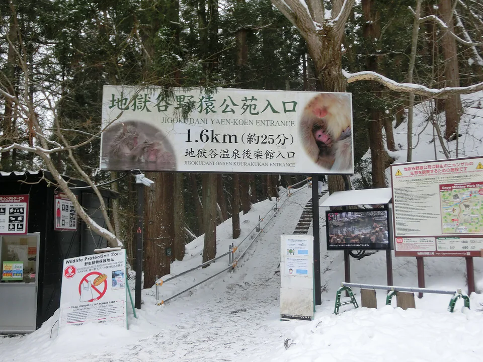 ทางเดินฤดูหนาวเข้าสู่ Jigokudani Yaen-Koen Snow Monkey Park ในจังหวัดนากาโนะ