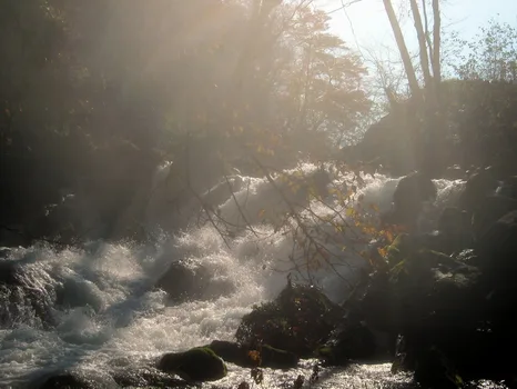 Ashura no Nagare rapids along Oirase Stream in autumn