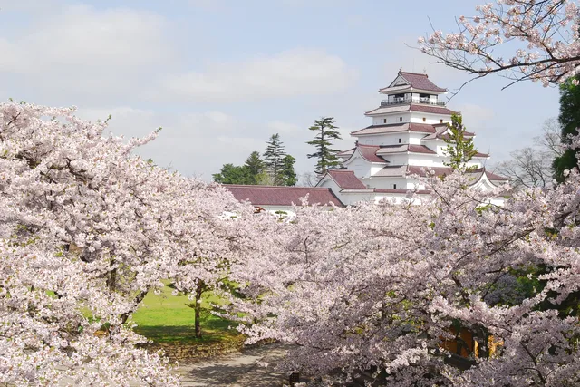 Japan’s 100 Famous Castles No.12: Tsuruga Castle — ¥410, ¥520 or ¥730? Pick the Upgrade That Fits
