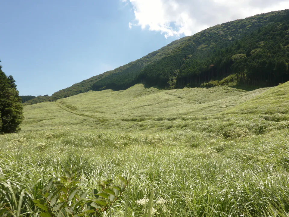 하코네 센고쿠하라 억새와 버스 숙박 지역 풍경, Mount View Hakone 선택을 설명하는 실제 지역 이미지