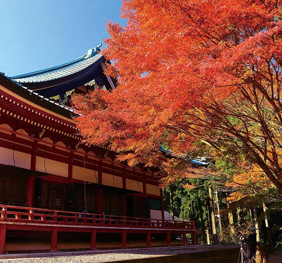 Autumn scenery in Otsu, a practical Lake Biwa backup base when Kyoto hotels are full