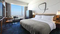 Tokyo Dome Hotel Executive Double guest room