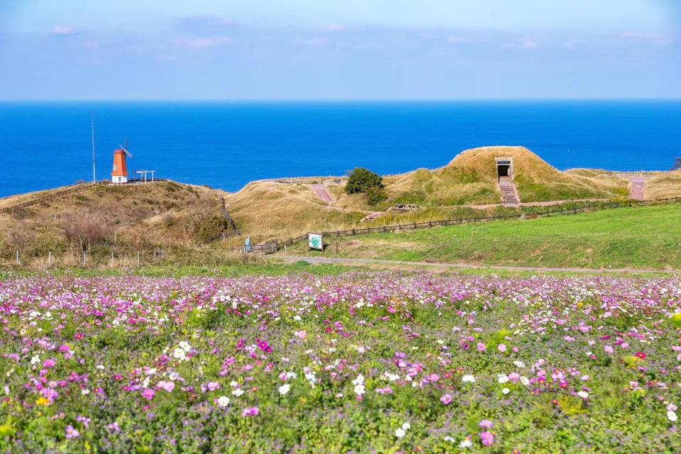 Scenery along the Munakata-Oshima heritage route, where visitors reach worship sites connected with sacred Okinoshima.