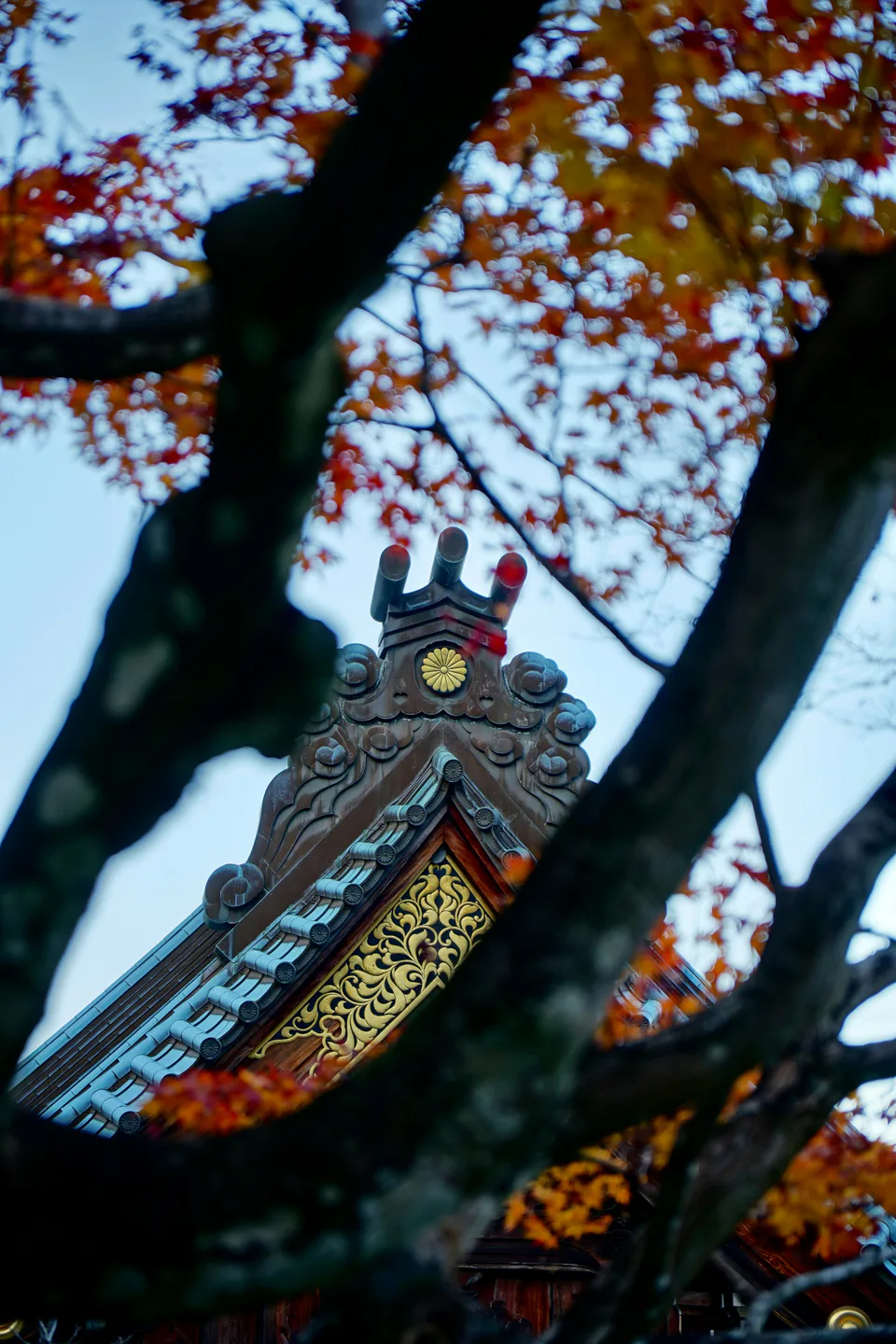Red autumn maple leaves beside Daisho-in Temple on Miyajima for a two-day Hiroshima itinerary