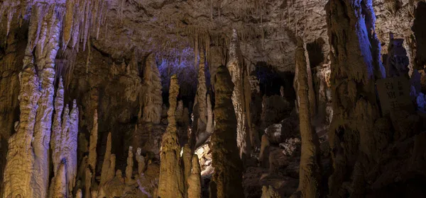 Gyokusendo limestone cave at Okinawa World as a sheltered rainy-day attraction