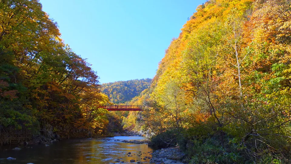 พักที่ไหนในฮอกไกโดช่วงใบไม้เปลี่ยนสี? เลือก Sapporo, Asahikawa, Sounkyo, Jozankei หรือ Hakodate ตามสัปดาห์