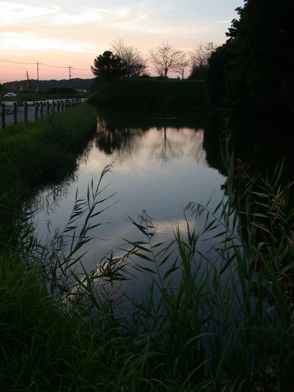 Sakura Castle outwork and water moat showing the surviving earthwork defensive layout