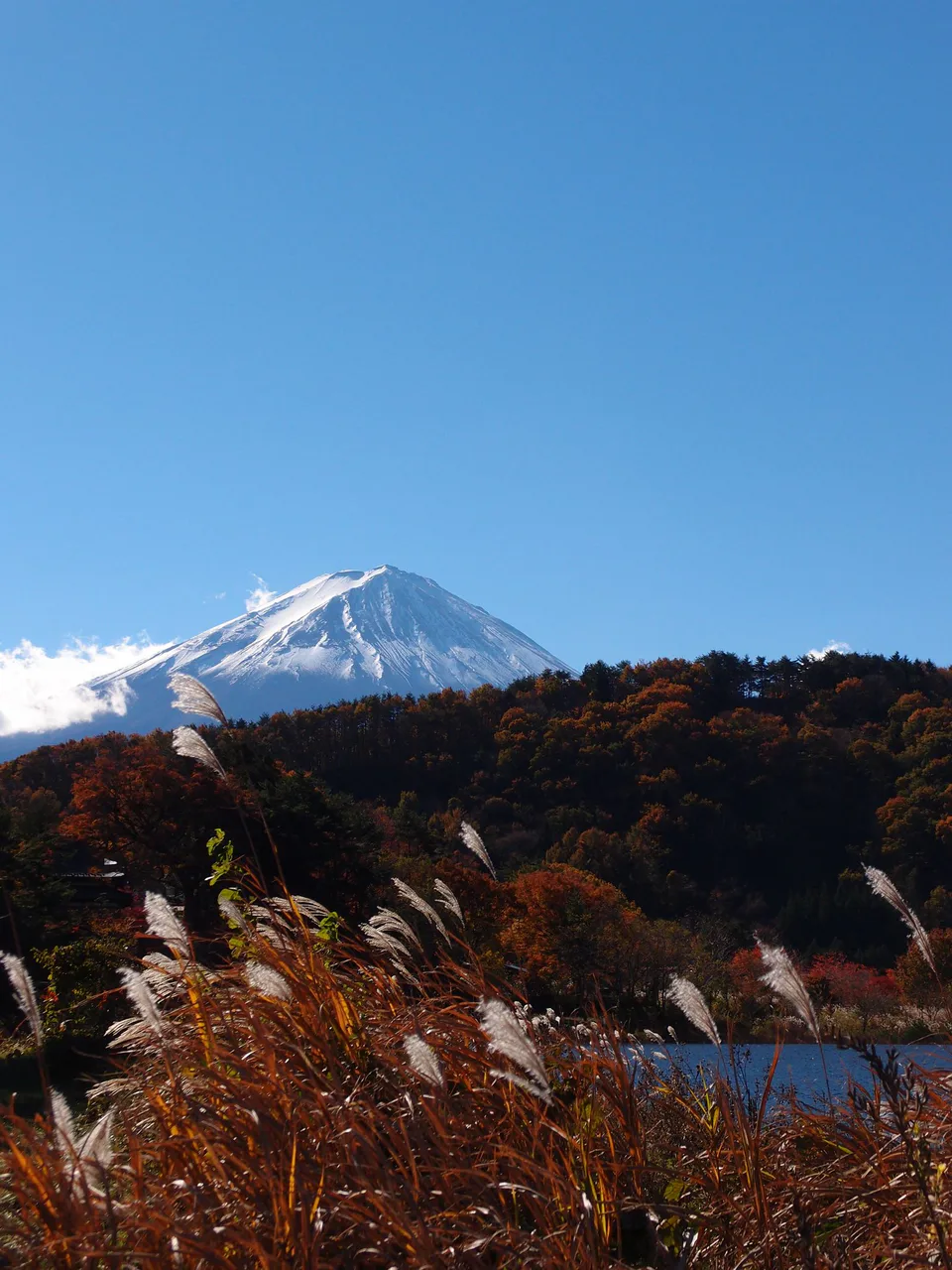 โรงแรมวิวฟูจิที่คาวากุจิโกะเลือกอย่างไร? แยก Fuji view, lake view และ private onsen ให้ถูกก่อนจ่ายแพง