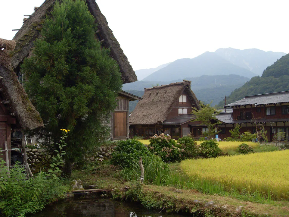Traditional gassho-zukuri houses in Shirakawa-go