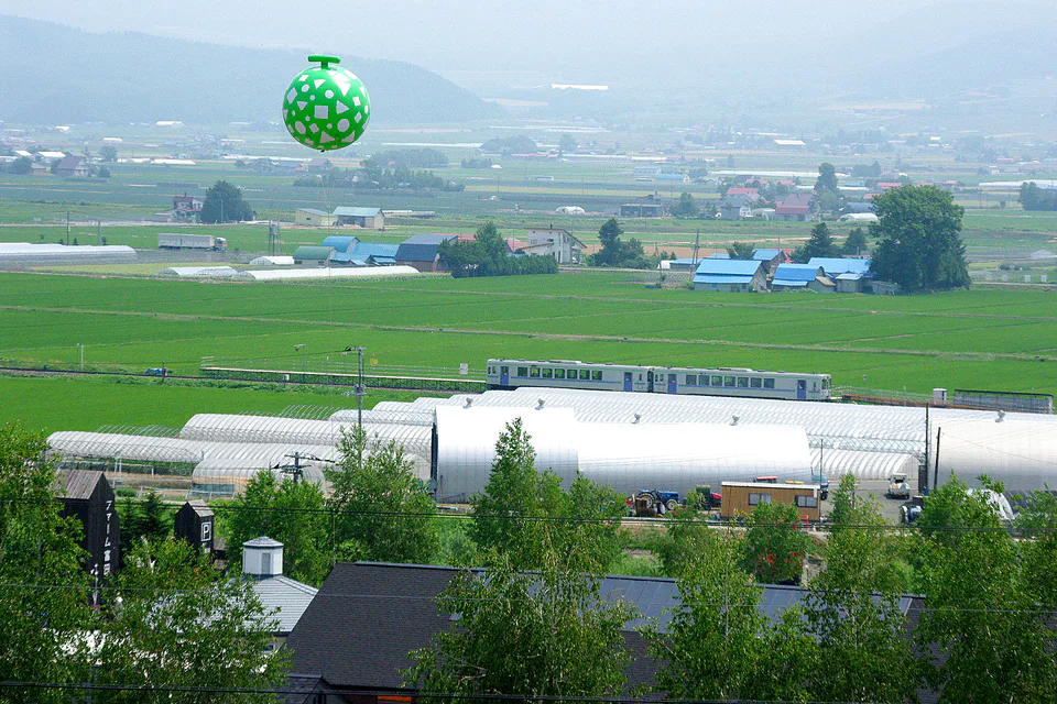 Fresh Furano melon slices and whole melons sold during the summer season