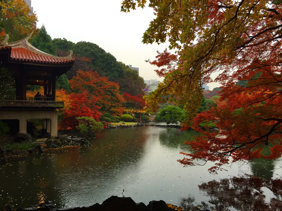 Tokyo autumn leaves day trip by train: Shinjuku Gyoen, Koishikawa, Showa Kinen Park and Rikugien