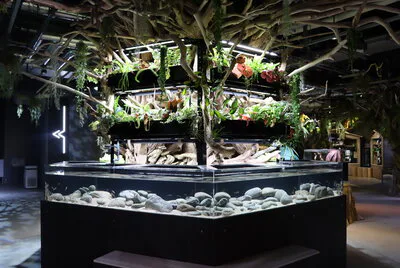 พื้นที่จัดแสดง Aquarium × Art ภายใน átoa Kobe