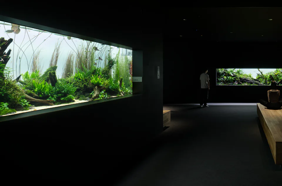 AOAO SAPPORO 5층 Nature Aquarium의 수초와 수중 경관 전시