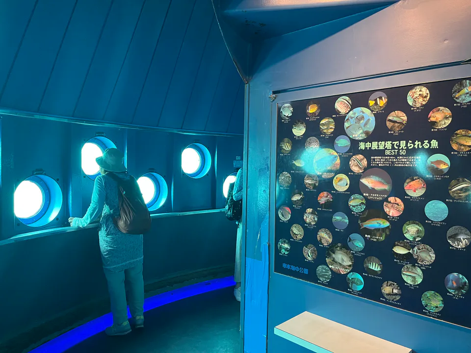 หน้าต่างชมปลาและปะการังจาก Undersea Observation Tower ของ Kushimoto Marine Park