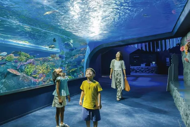 Indoor aquarium display at DMM Kariyushi Aquarium for a rainy day in Okinawa