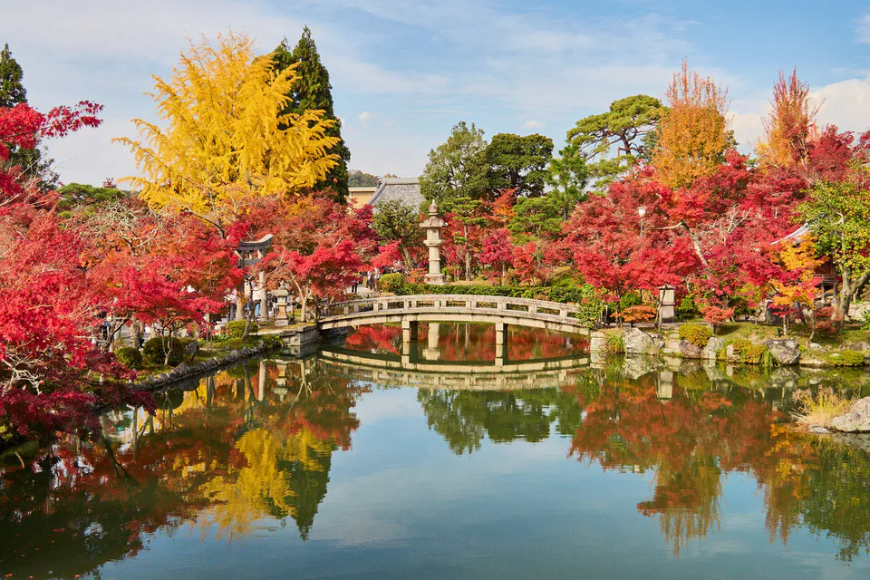 Carte des périodes d'automne à Kyoto|Ordre de changement des feuilles d'érable à Takao, Kibune, Arashiyama, Higashiyama